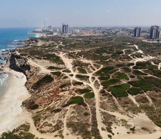 “ההשקעה הדפנסיבית ביותר דווקא בזמן משבר הקורונה”: יחידת קרקע בפרטית בטאבו בפרויקט עיר ימים בחדרה