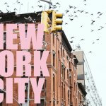 גלו כיצד יוצרים עליית ערך מטורפת תוך שנה בברוקלין ניו יורק