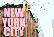 גלו כיצד יוצרים עליית ערך מטורפת תוך שנה בברוקלין ניו יורק