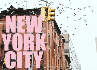 גלו כיצד יוצרים עליית ערך מטורפת תוך שנה בברוקלין ניו יורק