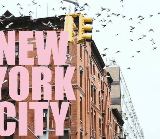 גלו כיצד יוצרים עליית ערך מטורפת תוך שנה בברוקלין ניו יורק