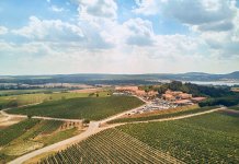 המלאי מוגבל בהחלט: נפתחה ההרשמה לרכישת עתודת הקרקע המבוקשת באבן יהודה, פרויקט “קרקעות מתחם הפארק”, קרקע פרטית בטאבו לבעלי הון עצמי מ-149,000 ₪ בלבד. צפי להשבחה גבוהה במיוחד!