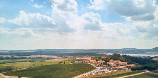 המלאי מוגבל בהחלט: נפתחה ההרשמה לרכישת עתודת הקרקע המבוקשת באבן יהודה, פרויקט “קרקעות מתחם הפארק”, קרקע פרטית בטאבו לבעלי הון עצמי מ-149,000 ₪ בלבד. צפי להשבחה גבוהה במיוחד!