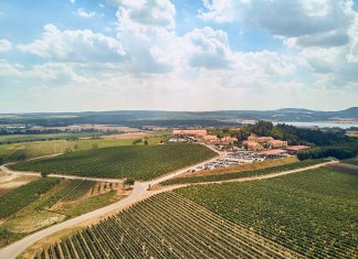 המלאי מוגבל בהחלט: נפתחה ההרשמה לרכישת עתודת הקרקע המבוקשת באבן יהודה, פרויקט “קרקעות מתחם הפארק”, קרקע פרטית בטאבו לבעלי הון עצמי מ-149,000 ₪ בלבד. צפי להשבחה גבוהה במיוחד!