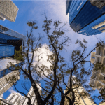 Protected: חסכתם קצת, אתם רוצים להשקיע אבל מפחדים? מה באמת אפשר לעשות עם 250,000 ₪ בנדל”ן?