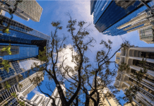 Protected: חסכתם קצת, אתם רוצים להשקיע אבל מפחדים? מה באמת אפשר לעשות עם 250,000 ₪ בנדל”ן?