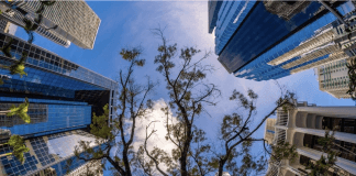 Protected: חסכתם קצת, אתם רוצים להשקיע אבל מפחדים? מה באמת אפשר לעשות עם 250,000 ₪ בנדל”ן?