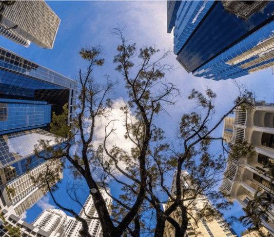 Protected: חסכתם קצת, אתם רוצים להשקיע אבל מפחדים? מה באמת אפשר לעשות עם 250,000 ₪ בנדל”ן?