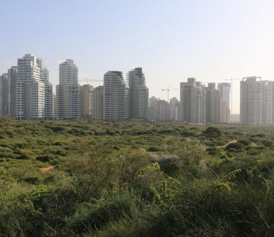 המכירה המוקדמת יצאה לדרך: עם 169,000 ₪ בלבד תוכלו להשקיע בעתודות קרקע נדירה בנתניה – פוטנציאל רווח משמעותי !